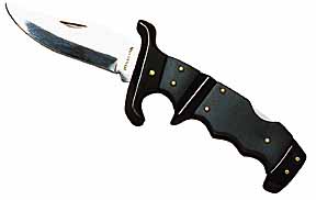 5 in. Black Handle Folding Hunting Knife